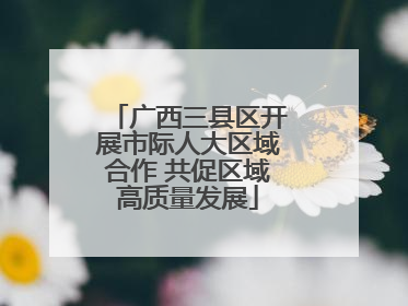 广西三县区开展市际人大区域合作 共促区域高质量发展